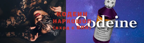 мдпв Осташков