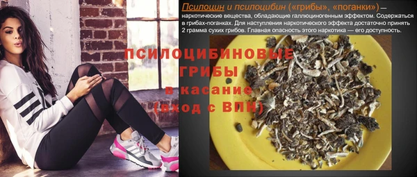 гашиш Няндома